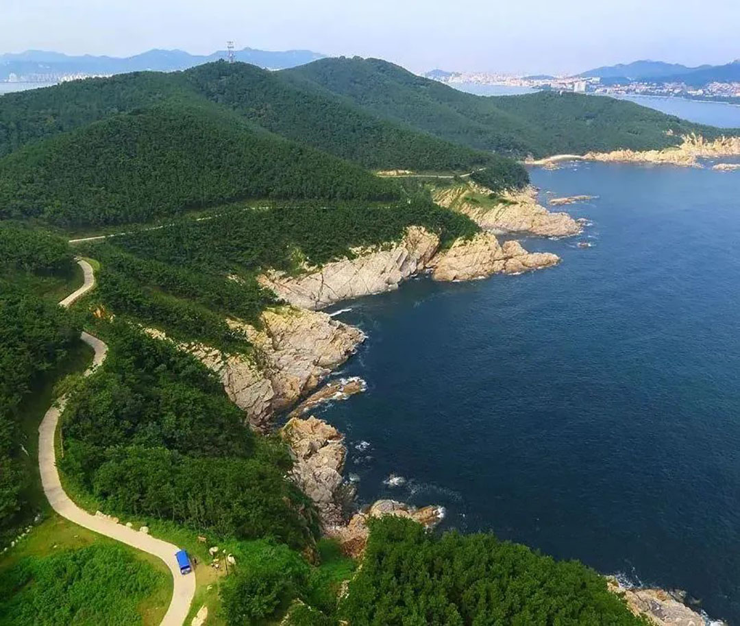 五大热门景区真实运营揭秘，看看客户为何选择立博观光车？