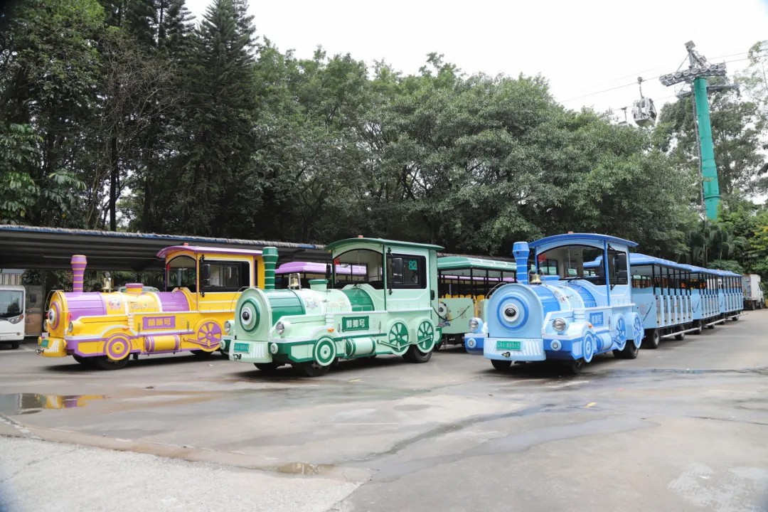 4万公里 ，100%出勤率！立博观光车助力长隆打造沉浸式生态之旅